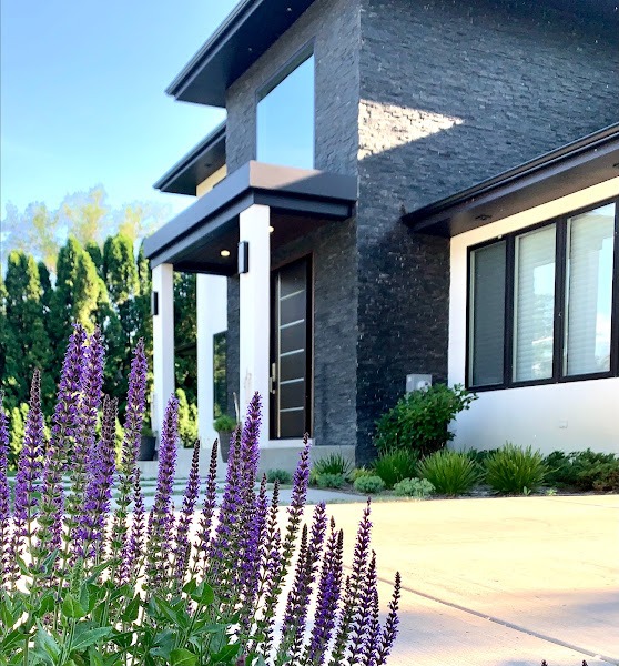 Purple flowers