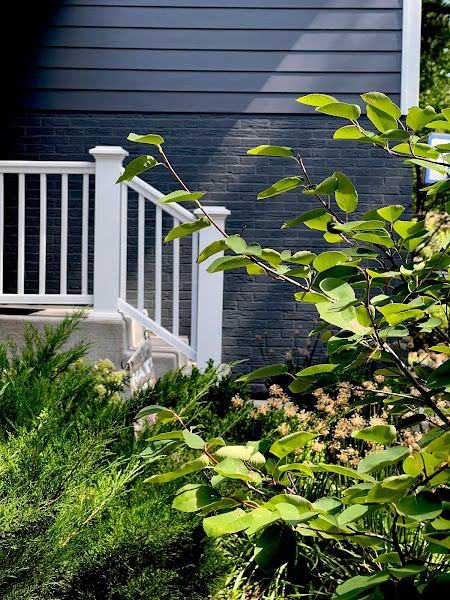 Greenery house