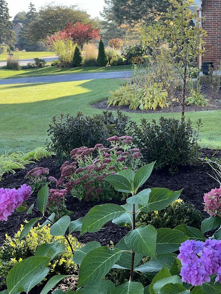 A beautiful garden design