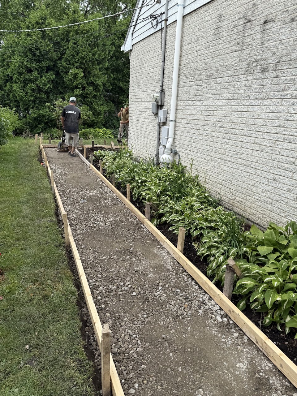 Hardscape contractors in Des Plaines: compacted aggregate base prep for a poured concrete walkway, formed with stake-set wood boards next to existing hosta beds